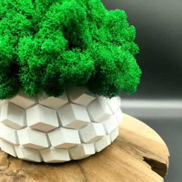 Вазон с мхом хроботек CHROBOTEK MOSS в белом горшке, 3D печать