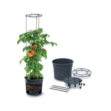 Горшок для выращивания томатов, комплект Tomato Grower IPOM300 антрацит