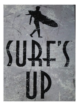 OBRAZEK SURF'S UP SPORT METAL TABLICZKA LOFT PUNK