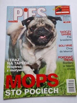 Przyjaciel Pies magazyn Mops nr 3 2016