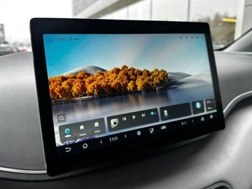 BYD 2025 BYD Dolphin Surf Comfort Hatchback (156 KM) 2025, zdjęcie 9