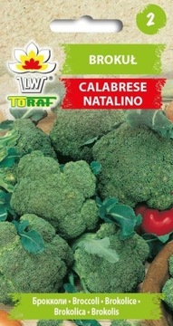 Brokuł Calabrese Natalino 1g TORAF