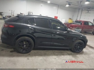 Alfa Romeo Stelvio SUV 2.0 Turbo 280KM 2018 Alfa Romeo Stelvio 2018 r.,2,0L TI SPORT AWD 2.0 Benzyna 280KM, zdjęcie 13