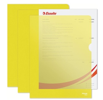 Esselte Folder premium A4 do biura,domu