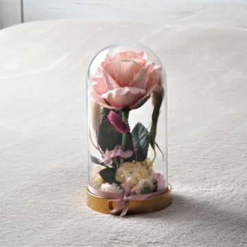 Эксклюзивный WELCOME ROSE IN GLASS - лес в стекле