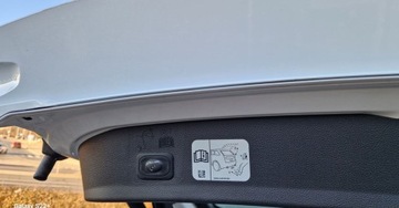 Ford Kuga II SUV Facelifting 1.5 EcoBoost 150KM 2019 Ford Kuga 97 Tkm FULL OPCJA Panorama Navi Polskora Top, zdjęcie 25