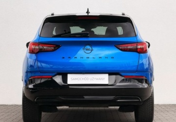 Opel 2023 Opel Grandland I wlasciciel Salon PL Gwarancja Bezwypadkowy FVAT23, zdjęcie 4