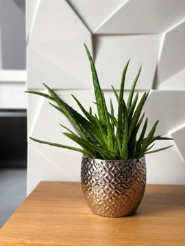 КЕРАМИЧЕСКАЯ КРЫШКА ДЛЯ ЦВЕТОЧНОГО ГАЗВА SILVER MOON GLAMOUR