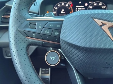 Cupra Terramar SUV 2.0 TSI 204KM 2026 Cupra Terramar Advantage Edition 2.0 TSI 204 KM DS, zdjęcie 14