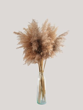 СУШЕНАЯ ТРАВА БОХО НАТУРАЛЬНЫЙ ПУШИСТЫЙ БУКЕТ 80СМ