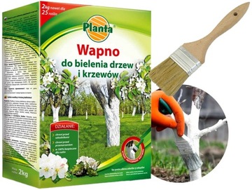 Wapno do bielenia pni drzew drzewek KRZEWÓW Odkwaszania 2kg +pędzel