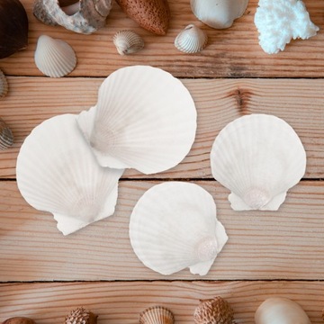 Большие натуральные ракушки из морских гребешков ручной работы.