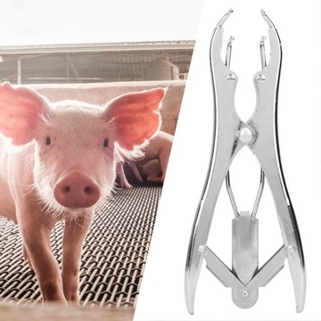 Щипцы для кастрации свиней с кольцами 100 шт.
