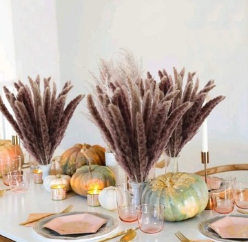 ПУШИСТАЯ ПАМПАССНАЯ ТРАВА ДЛЯ ВАС, БУКЕТ, 60СМ