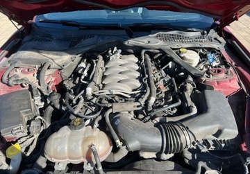 Ford Mustang VI Fastback Facelifting 5.0 Ti-VCT 450KM 2018 Ford Mustang GT 5.0 V8 450 KM 5.0 Benzyna 450KM, zdjęcie 25