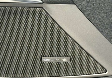 BMW Seria 3 G20-G21 2021 BMW Seria 3 Pierwszy wlasciciel Gwarancja Bezwypadkowy FVAT23, zdjęcie 29