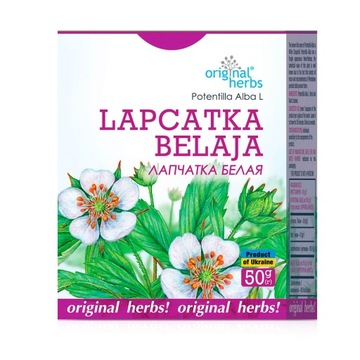 PIĘCIORNIK BIAŁY TARCZYCA ZAPALENIA JELIT 50 g