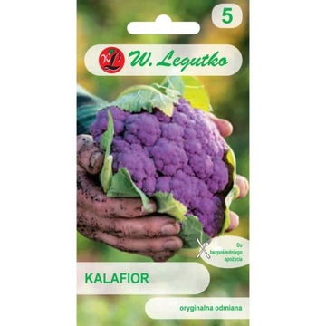 KALAFIOR FIOLETOWY DI SICILIA INTENSYWNY SMAK