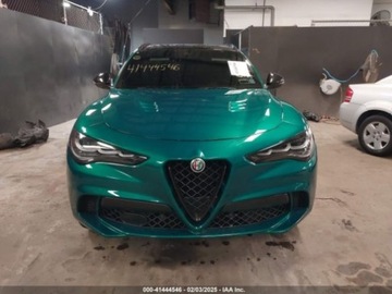 Alfa Romeo Stelvio 2024 Alfa Romeo Stelvio Quadrifoglio 2024 2.9l 2.9 Benzyna 505KM, zdjęcie 7