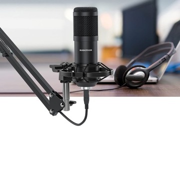 Студийный конденсаторный микрофон SUDOTACK ST-800