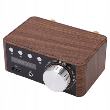 Cyfrowy wzmacniacz audio Mały odtwarzacz kart