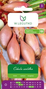 Cebula Szalotka Zébrune 3 g Legutko