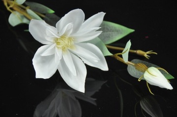 Клематис белый искусственный цветок