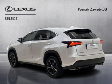 Lexus NX I SUV 200t 238KM 2017 Lexus NX 200t Comfort AWD I (2014-2021) Lexus NX 2, zdjęcie 8