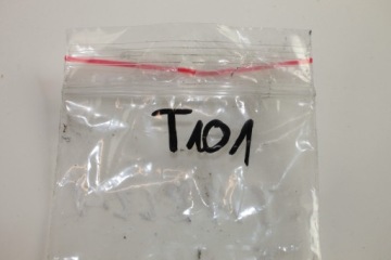 TRIUMPH SCRAMBLER 1200 XE XC БОЛТЫ КРЕПЛЕНИЯ ЗАДНЕГО ТОРМОЗНОГО ДИСКА