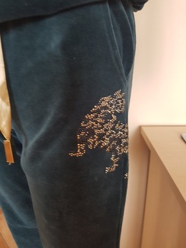 Велюровый спортивный костюм со стразами пантера 1 S S/M 36/38