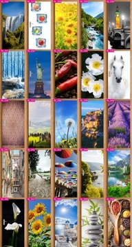 Самоклеящаяся наклейка на дверь, черное дерево.