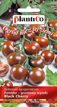 Pomidor gruntowy drobnoowocowy wysoki Black Cherry 0,2g PLANTICO