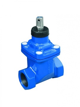 Zasuwa gwintowana Dn32 5/4 cala PN10 NORSON