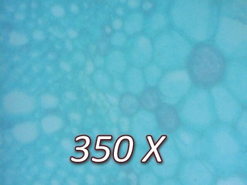 Микроскоп цифровой Bresser 20х-350х 4 ШАНС!!!