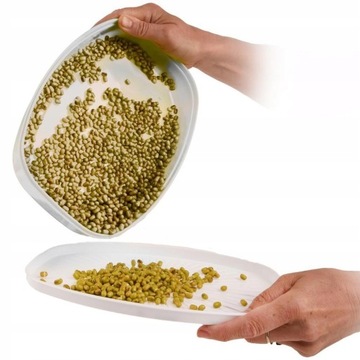 КОНТЕЙНЕР ДЛЯ ПРОРАЩИВАНИЯ РАССТЕНЦОВ 29х21х7,5см КАЧЕСТВО