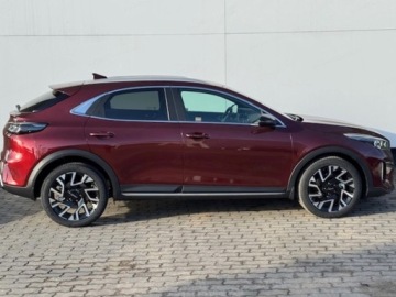 Kia XCeed 2026 KIA XCeed 1.6 T-GDI Tribute DCT Crossover 150KM 2026, zdjęcie 1