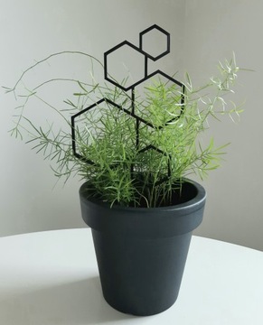 ОПОРА ЛЕСТНИЦА ПЕРГОЛА ЦВЕТЫ РАСТЕНИЕ ШЕСТИУГОЛЬНИКИ