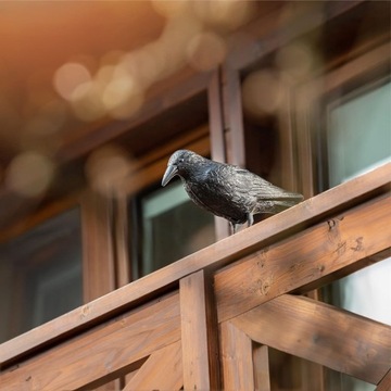 БОЛЬШОЙ СЫРЬЕ, ГОЛУБЬ, ОТПУСКАТЕЛЬ ПТИЦ, Отпугиватель птиц, ЗАПАСНИКИ, ГОЛУБИ, НАЧИНКИ