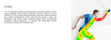 Getry damskie 3/4 X-BIONIC Energy EVO S/M
