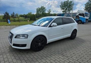 Audi A3 8P Hatchback 3d 1.6 TDI 90KM 2010 Audi A3 5 Drzwi KLIMA 1.6 Diesel 105KM, zdjęcie 12