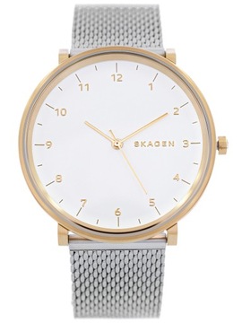 MĘSKI ZEGAREK SKAGEN SKW6170 HALD KLASYCZNY MESH