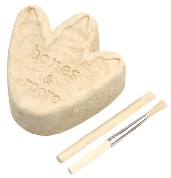 Отпечаток лапы большого скелета динозавра