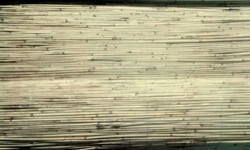 Коврик из камыша, защитный камышовый забор, 1,60х6м, плотный