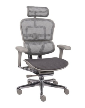 Ergonomiczny Fotel biurowy obrotowy Ergohuman 2 Elite PRO Tkanina Szary