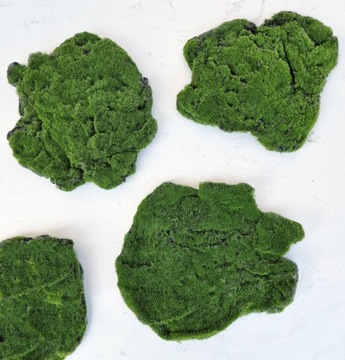 Mech dekoracyjny poduszkowy XL sztuczny dekoracja KW03