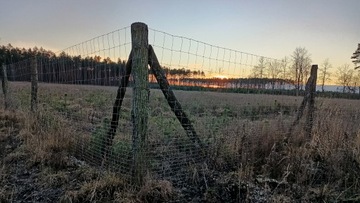 Забор из лесной сетки рулон 50м 180/21/30 G12