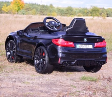 ORYGINALNE BMW M5 24V DRIFT KOŁA EVA SX2118