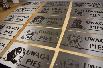 Tabliczka INOX UWAGA PIES Chart Angielski Whippet