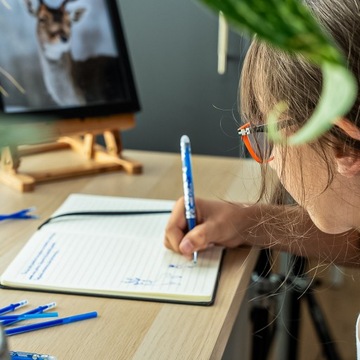 ЭКСПОЛИтура синих ручек: установка с картриджами и аксессуарами