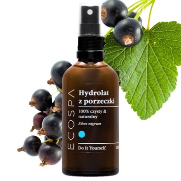 NATURALNY HYDROLAT Z CZARNEJ PORZECZKI NA TWARZ WŁOSY 100 ML ECOSPA